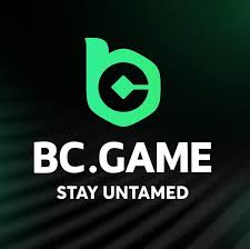 Exploring BC.Game Casino in Cameroon The Future of Online Gaming
